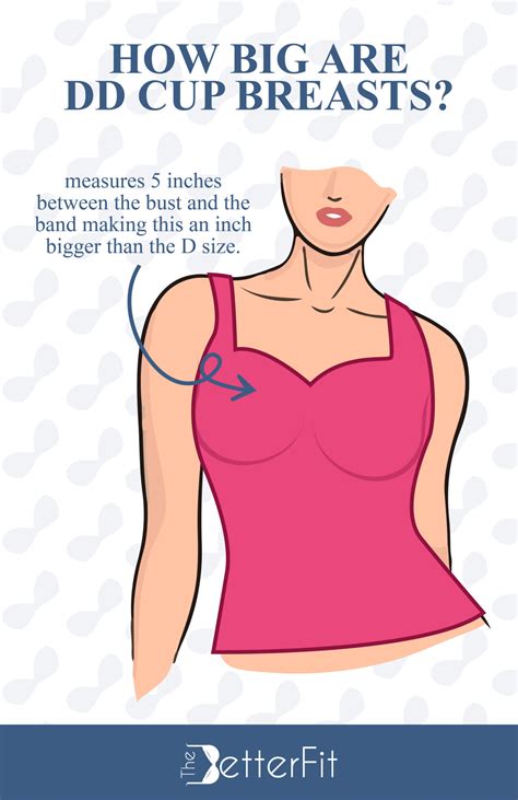 How Big Is a DD Bra Cup Size? | TheBetterFit