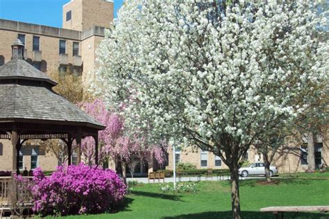 ArchCare Nursing Home Locations and Information | ArchCare