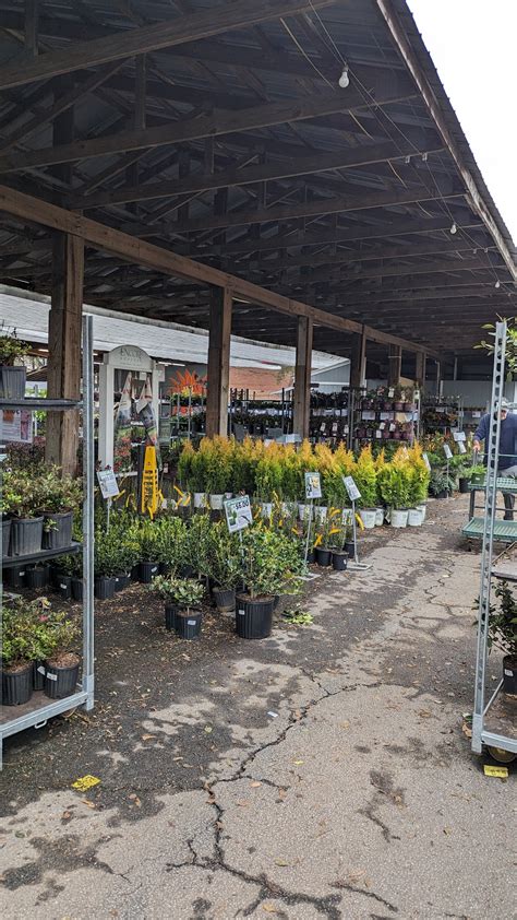 GROWER'S OUTLET LLC - Loganville GA - Hours, Directions, Reviews ...