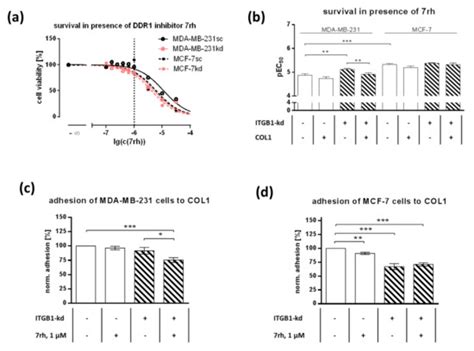 Targeting Discoidin Domain Receptor 1 (DDR1) Signaling and Its ...