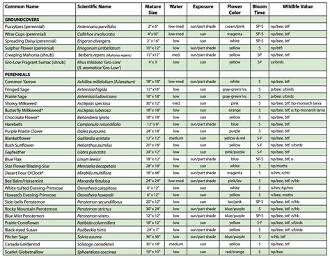 Plant Native Plants in Colorado and Beyond!