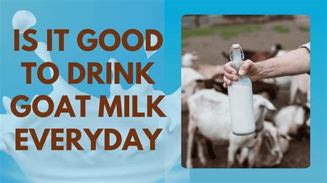 Is It Good To Drink Milk Everyday