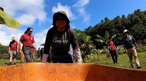 Hawaiʻi Community College students harvest 50 pounds of bananas to feed local families : Big ...