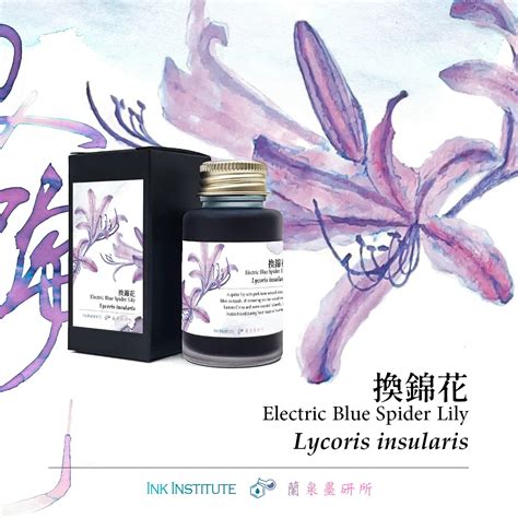 Ink Institute Fountain Pen Inks Meander Series Electric Blue Spider Li ...