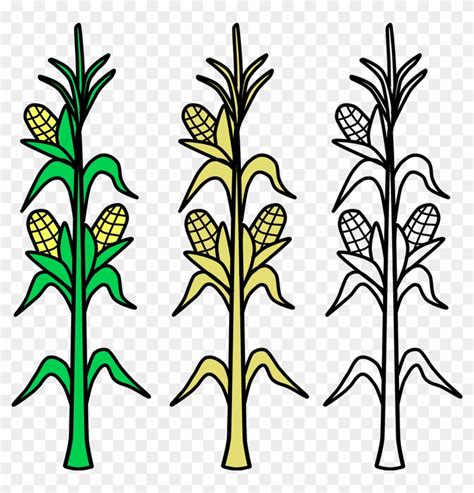 Corn Field Vector 的图像结果