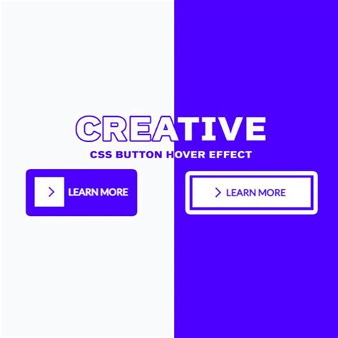Image result for Button Examples CSS