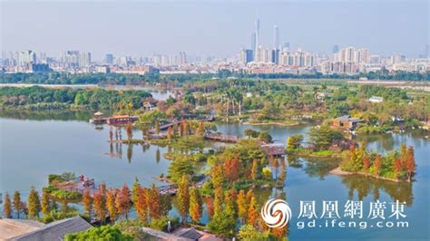 全力以赴，迎接IUCN绿色名录专家评审团-广东广州海珠国家湿地公园-湿地中国