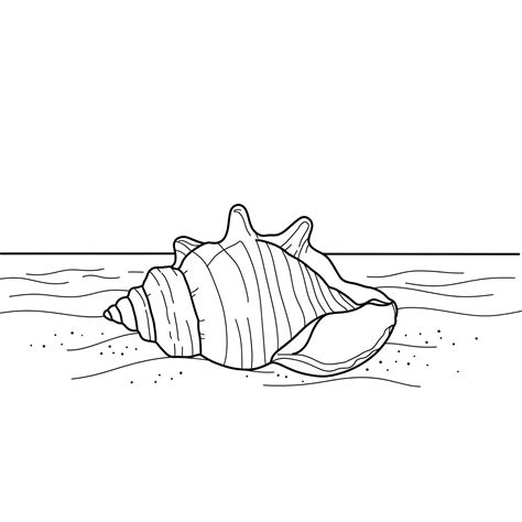 70 Seashell Coloring Pages PDF: Sea Treasures to Color