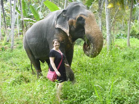 10 BEST Places to Visit in Kegalle - UPDATED 2023 (with Photos ...