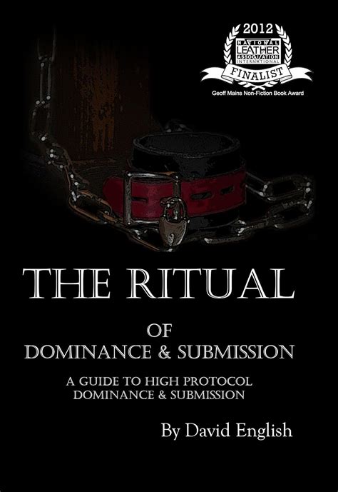 High Protocol Dominance Video Example 的图像结果