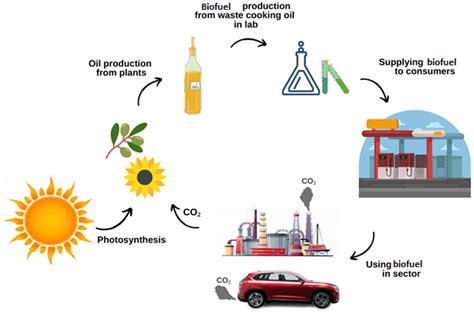 Biodiesel Fuel For The Future