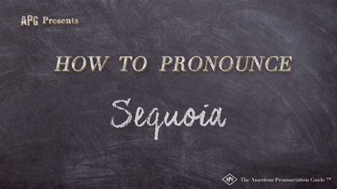 How to Pronounce Sequoia (Real Life Examples!) - YouTube