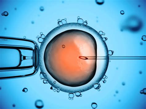 Best IVF Center in Jaipur | Fertility Treatment India