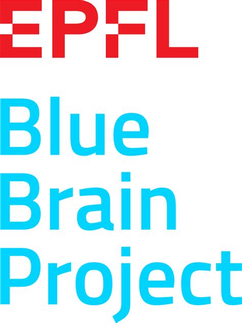 Blue Brain Project 的图像结果