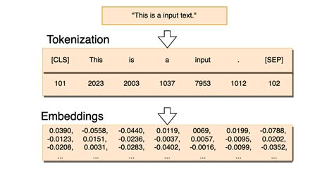 Bitcoins Tokenize Algorithm 的图像结果