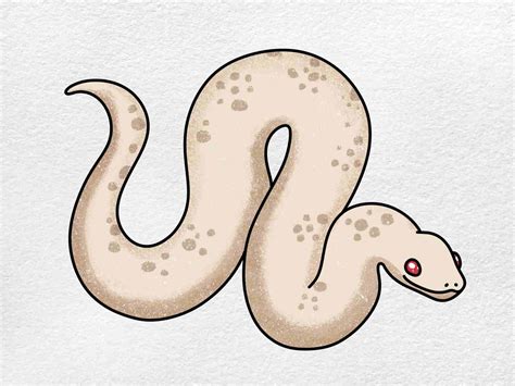 How To Draw A Snake With Color