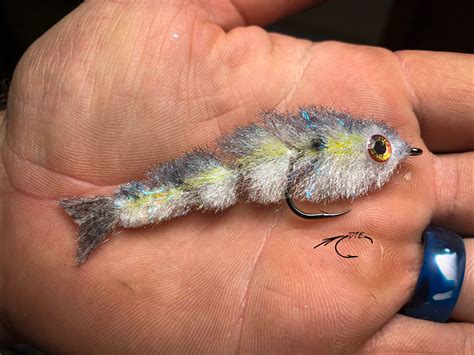 GameChanger Fly Pattern 的图像结果