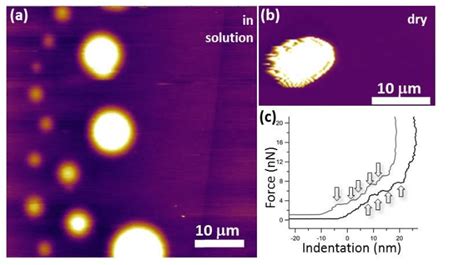 Image result for AFM Graphite Layers
