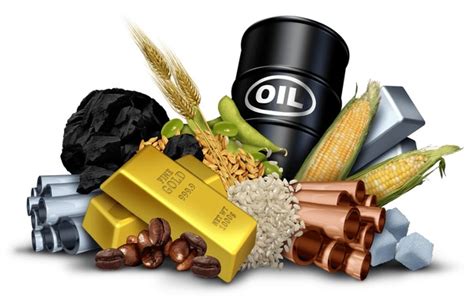 Commodity Examples 的图像结果