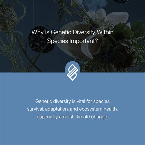 Species Interactions → Term