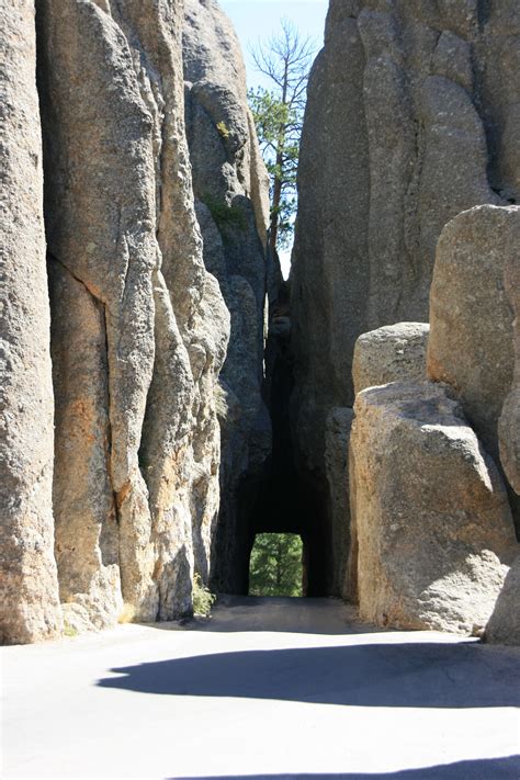 Custer State Park, South Dakota (Needles Hwy) | Custer state park ...