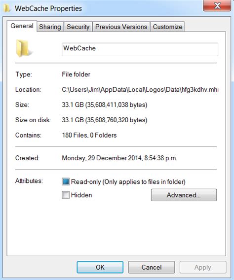 Image result for Web Cache Folder
