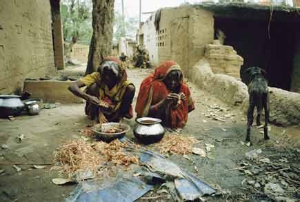 Untouchables Caste System Book 的图像结果