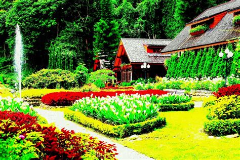 Image result for Garden Sheds at Lowe's
