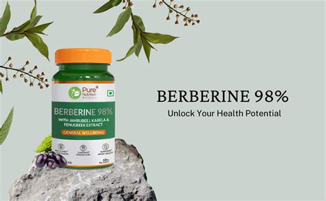 Pure Nutrition BERBERINE 98% – 60 Veg Tablets | with Jamun Beej, Karela ...