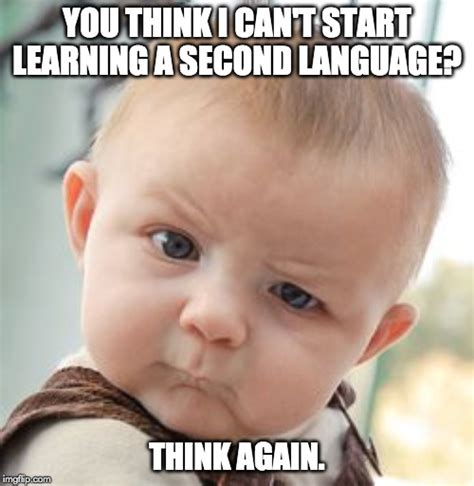 Funny Language Learning Quotes