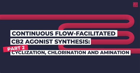 API Synthesis Process 的图像结果
