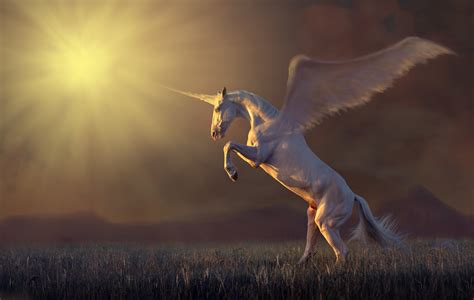 Why Does The Bible Mention Unicorns? | Even Steven
