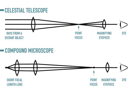 Reflector vs Refractor Telescope: Which is Better? (2025 Guide ...