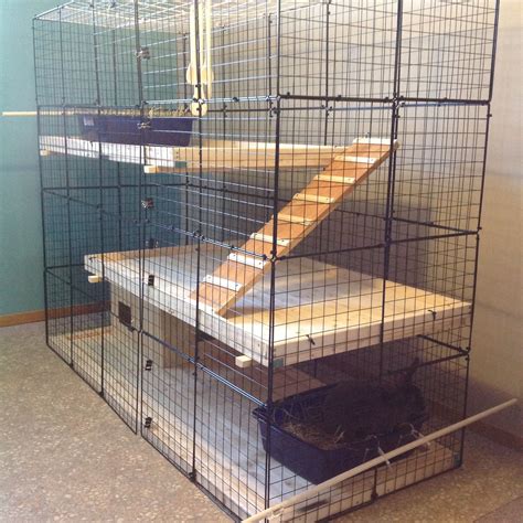 Our new rabbit condo. Spruce 1x2 and spruce tongue and groove paneling ...