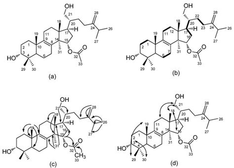 Constituents and Anti-Multidrug Resistance Activity of Taiwanofungus ...