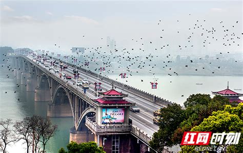 几张图快速了解湖南省湘潭市区划-搜狐大视野-搜狐新闻