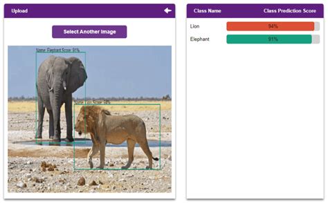 Image result for Object Detection Python Sorce Code Machine Learning