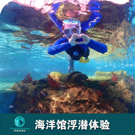 三亚洲际酒店海洋馆浮潜 三亚潜水考证 PADI潜水 特缔思潜水