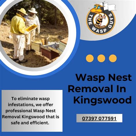 Eliminate Wasp Nest
