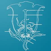 Progressive Insurance Log 的图像结果