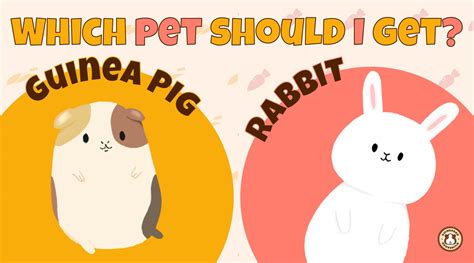 Python vs Guinea Pig 的图像结果