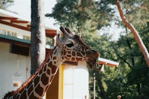 Education 4K Images 的图像结果