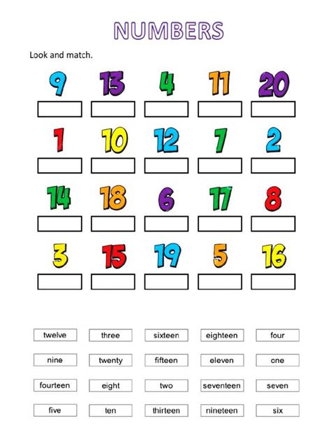 Math Numbers Worksheet PDF 的图像结果