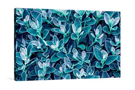 Teal Leaves Canvas Print and Acrylic Glass Wall Print | Thewallartistry.in