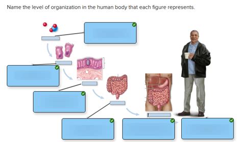 Example of System Structure 的图像结果