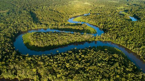 Discover Georgia's Altamaha River