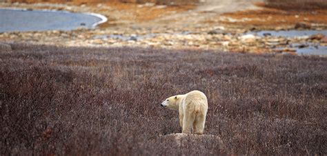 Image result for Spring File 4 Pack