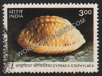1998 Sea Shells-Chicoreus-Cowrie Used Stamp – Worldwidemint