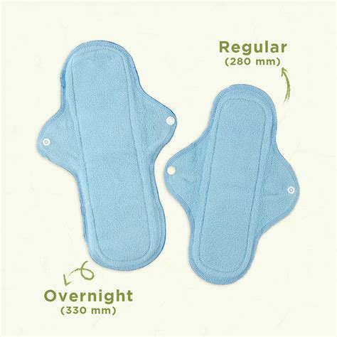 Buy PEESAFE REUSABLE SANITARY PADS | 6 REGULAR+2 OVERNIGHT PAD + 2 LEAK ...