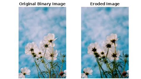 Morphometric Analysis Program MATLAB Script 的图像结果
